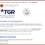 Nueva alerta sobre correos fraudulentos: TGR NUNCA te enviará enlaces de descarga